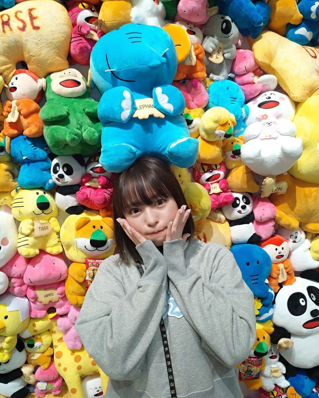 寺坂ユミのインスタグラム：「今更だけど「たべっ子どうぶつLAND」の写真🦁💛  推しどうぶつ どの子〜〜？？  #たべっ子どうぶつ#たべっ子どうぶつLAND」