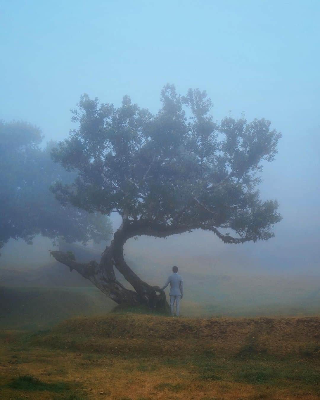 kaelのインスタグラム：「Of all the magical places I’ve been, Madeira wins🤍」