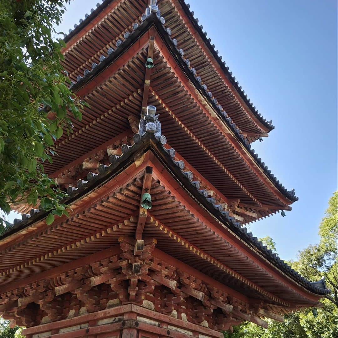 和田益典さんのインスタグラム写真 - (和田益典Instagram)「◆ナゴヤ記⑩  2023/7/17  名駅でひつまぶしを堪能してからは名鉄乗って隣町へ。  津島線に乗り換えて、あま市甚目寺へ。  重文の三重塔と門が２つあるので以前から訪れたかったお寺の一つでした。  サブアカ @temple_pagoda_temple にも書いてるので割愛しますが、とにかく暑すぎでマジやばかったです。  隣の駅にも目的地があったのですが、もう無理！ってことで、名古屋に戻って喫煙出来る喫茶店探して向かいました。  クリームソーダ１択でしたな。 . . #temple #pagoda #tower #sky #wooden #japan #culturalproperty #nagoya #甚目寺 #三重塔 #甚目寺駅 #名鉄 #甚目寺観音 #重要文化財 #スマホ写真 #ナゴヤ #名古屋 #クリームソーダ #酷暑 #鉄道旅 #愛知県 #あま市 #備忘録 #寺 #わだます寺社巡り #わだます塔巡り #塔 #文化財  #わだます尾張ナゴヤ記2023 .」7月26日 22時26分 - masunori_wada