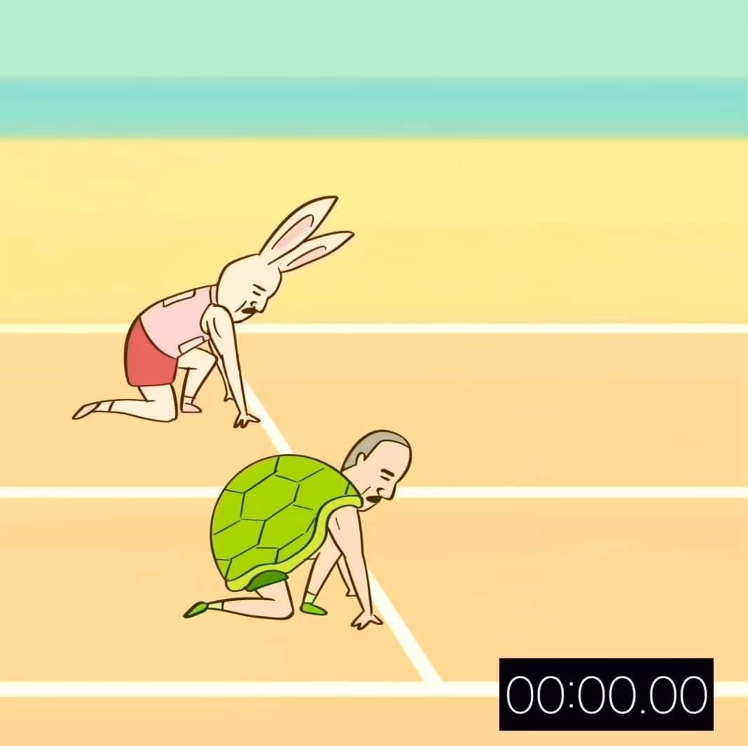 keigoのインスタグラム：「🐢🐇 #illustration」