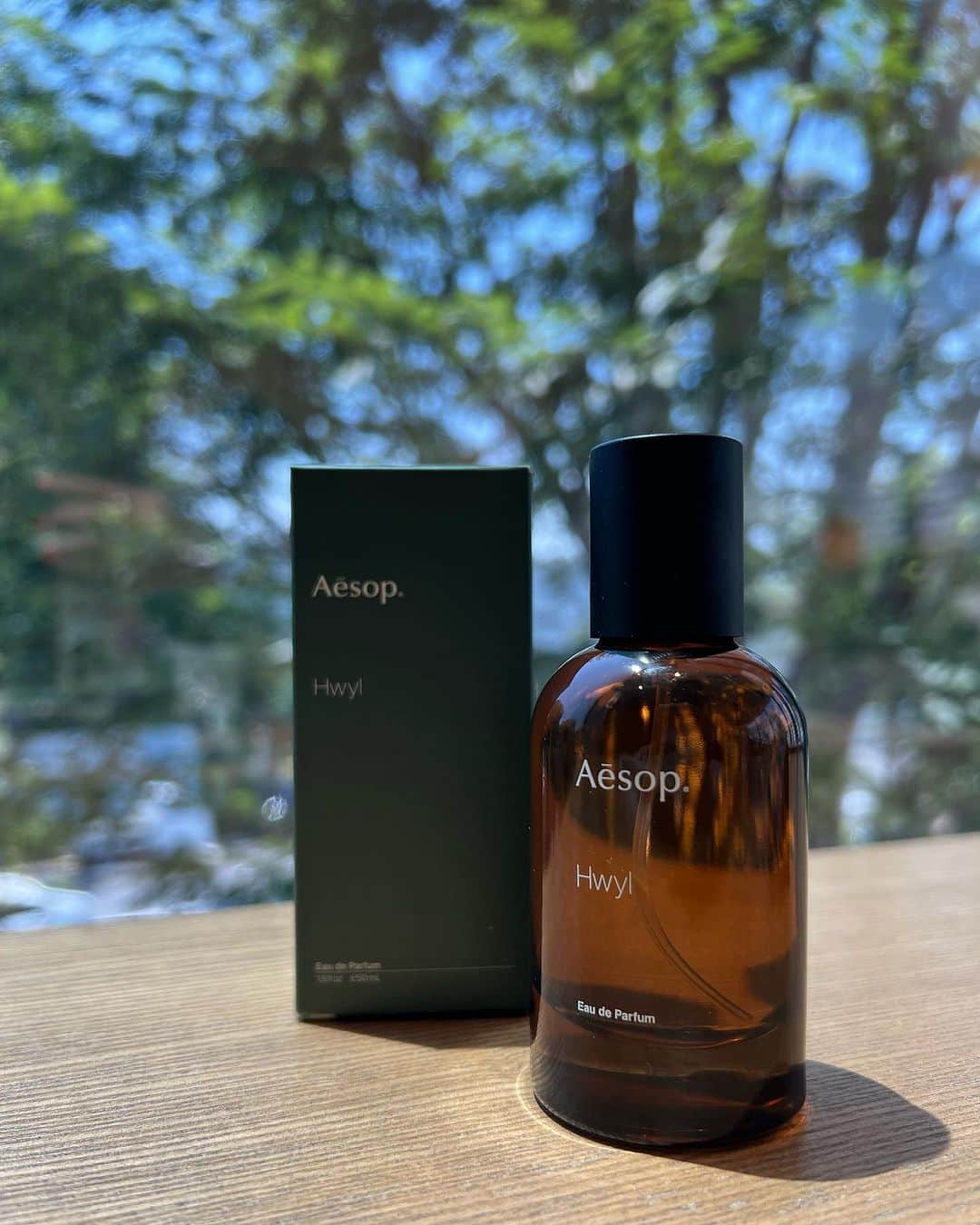 のインスタグラム：「やっとみつけた〜すきな香り🌳 #hwyl #aesop」