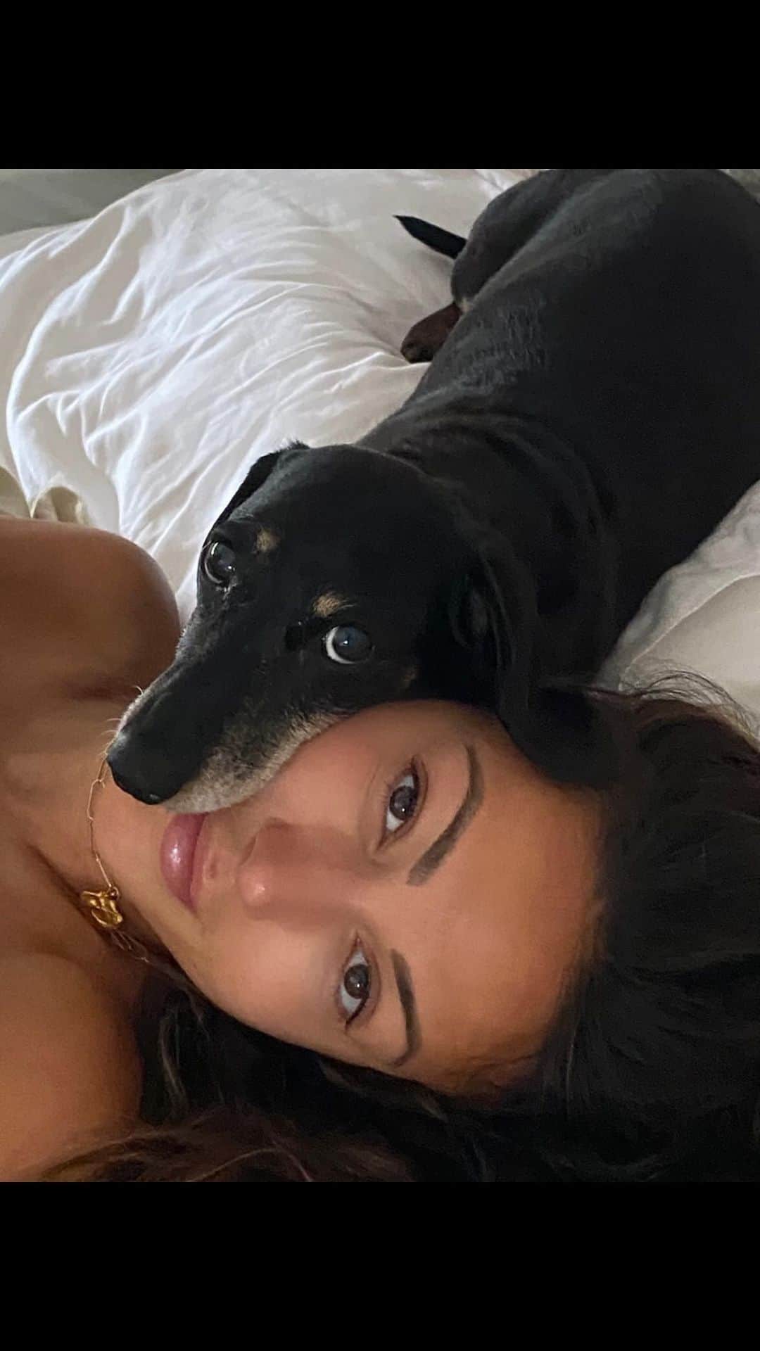 のインスタグラム：「It’s my baby’s 15th birthday today. 🎉  They say dogs imprint on one person where they form a strong loving attachment, someone they trust & seek comfort in & how lucky was I that you chose me? … From the moment I brought you home when I was 21 years old we’ve been inseparable, you’re my best friend, my confidant & my home. We’ve been through alot together girl & I couldn’t of asked for a better sidekick. Happy birthday Phoebe 🩷🩷🩷  (I know you can’t read any of this but I’ll let you eat whatever you want for the next week as it’s a special birthday)」