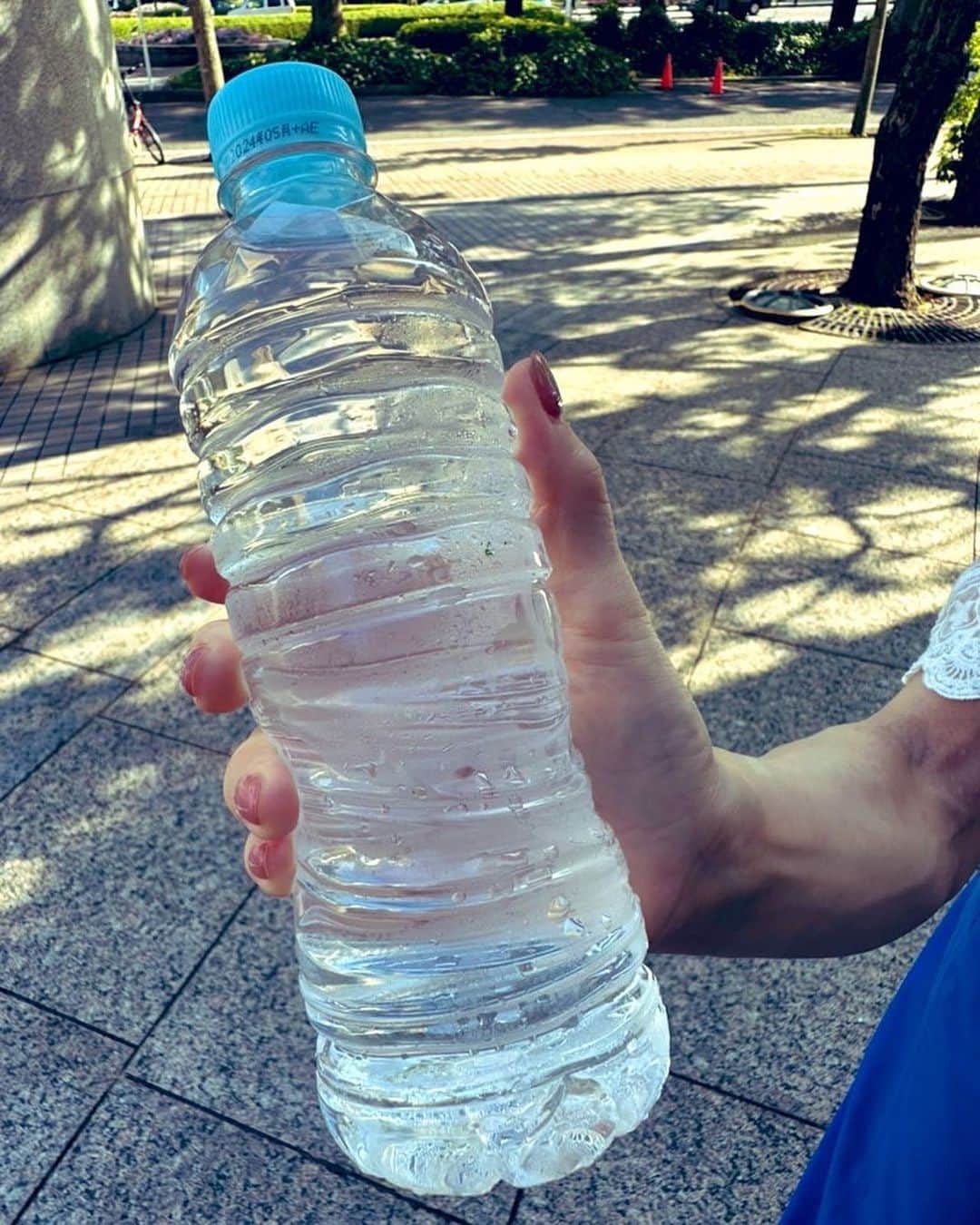 大隅智子さんのインスタグラム写真 - (大隅智子Instagram)「きょうは、恒例の水曜中継。冷たいペットボトルで「手のひらを冷やす」熱中症対策をお伝えました！ 手のひら冷却は、熱中症の予防になりますよ。 #手のひら冷却 #お好みワイドひろしま #広島 #熱中症対策」7月26日 22時57分 - tomokotenki