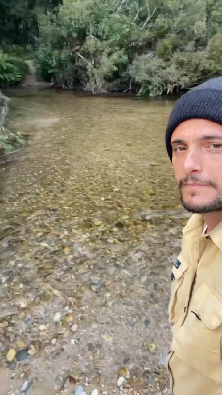 Bruno Gissoniのインスタグラム：「Oh! Darling 📍⛰️」