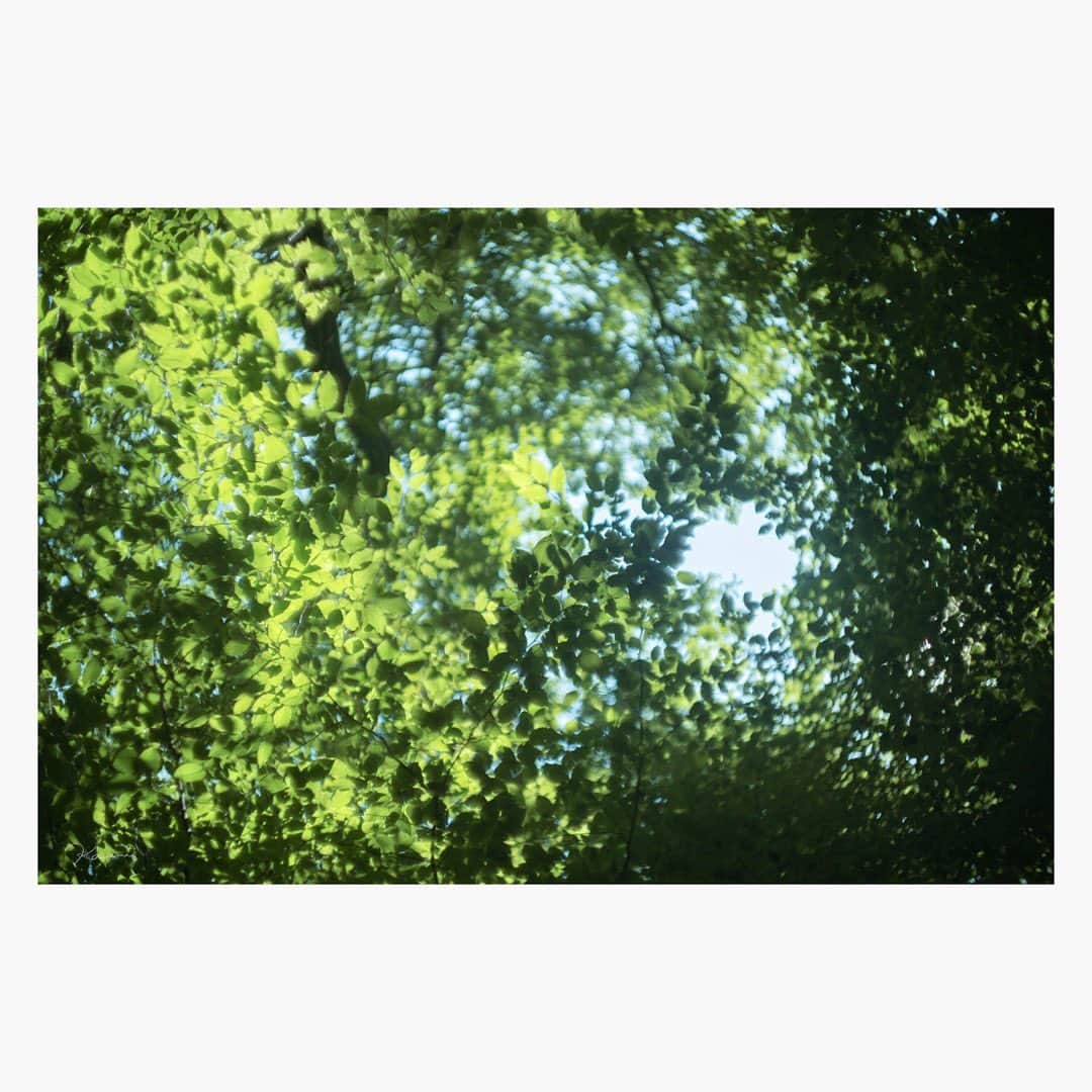 花澄のインスタグラム：「「ブルーホールへようこそ 2023」 Leica M10-P summilux 35mm f1.4 2nd  #leica#leicam10p#summilux#summilux35#summilux35mm2nd#oldlens#オールドレンズ#tokyo#japan#oldlens_tokyo#花澄#kazumiphotography」