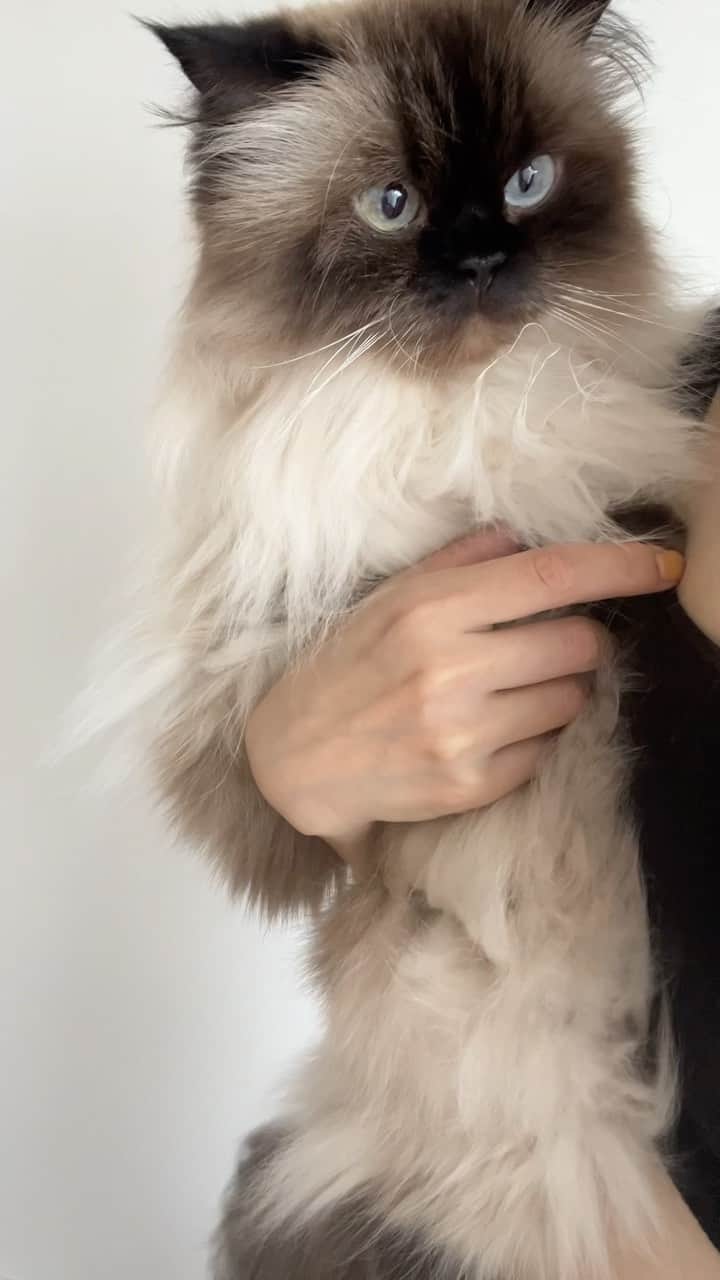 plumeのインスタグラム：「プリュム大好きだよ🤱🏻💞✨✨」