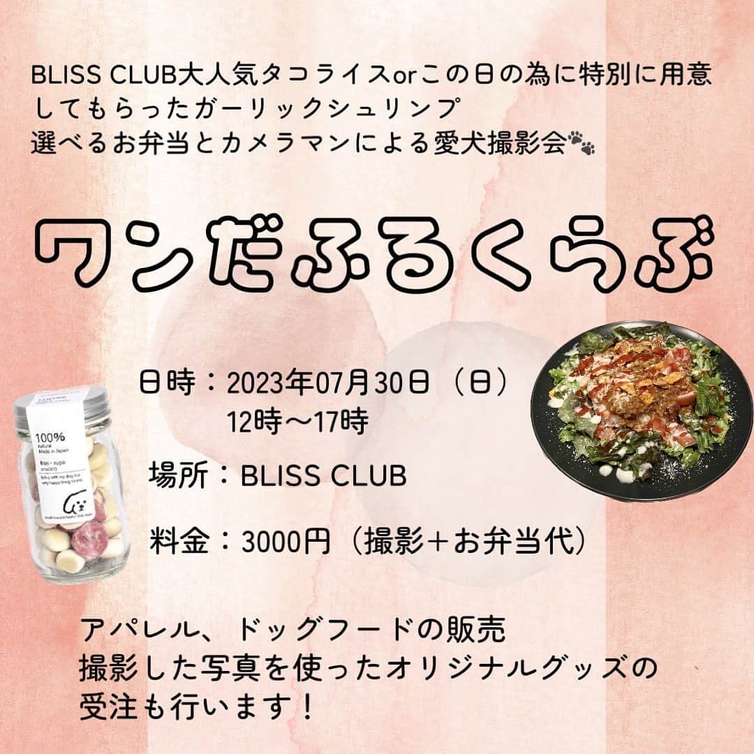 川崎美海さんのインスタグラム写真 - (川崎美海Instagram)「この度、浦郷絵梨佳と川崎美海は、 移動型のphoto studioを始めます！ 初めはイベント中心ですが、 えりかちゃんと出会ってから何年も話し合って やっと形になってこうやって皆様に ご報告する事が出来ました！  Photo Sudio Ti-Mo 記念すべき第1弾🐶📷  西麻布にあるBLISS CLUB (ブリス　クラブ) にご協力頂いて、開催することが決定致しました！🙏  日時：7月30日(日)12:00〜17:00 場所：BLISS CLUB 　　　東京都港区西麻布1-11-6  　　　ホテル＆レジデンス六本木 1F 料金：¥3,000(撮影代＋お弁当代)  今回はひまわり🌻バックでカメラマンさんがわんちゃんの撮影をしてくれます！データはAirDropであれば当日受け取り🙆‍♀️  その他、ドッグフード販売、 オリジナルグッズ、さらに、 @allback_fashion_official @brah.jp ２アパレルブランドの展示、受注販売も行います！  ※数に限りはございますが、わんちゃんがいない方もお弁当のみ1000円で遊びにきていただくことも可能です🙆‍♀️ 是非お友達とご一緒にいらして下さい！  お支払いは現金or PayPayにてお願い致します。  公共交通機関の詳細は記載してありますが、近隣にはコインパーキング🅿️もいくつかございますので、お車でお越し頂けます🚗  ご予約特典もご用意しておりますので、公式LINE( @003hmdcl )より宜しくお願い致します🤲  当日、Ti-Moのロゴにもなっている ティノとモモもいるので是非会いに来て下さい🐶✨  あ！当日は　@konomi_sawada  このみんも お手伝い来てくれるの❤︎わーい＼(^o^)／  #西麻布　#ブリスクラブ西麻布  #blissclub  #犬 #犬のいる暮らし #わんちゃんイベント #犬イベント #ドッグイベント #ドッグスタジオ」7月27日 0時03分 - kawasaki.myu