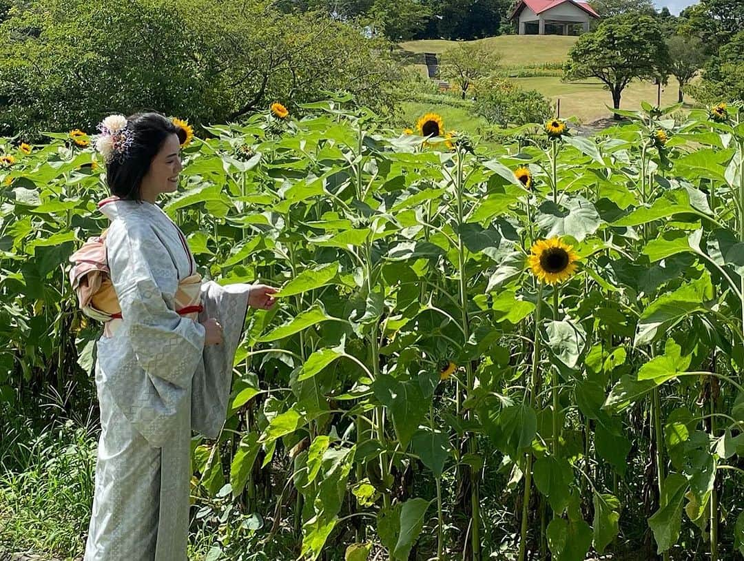 小川夏果さんのインスタグラム写真 - (小川夏果Instagram)「大島紬と向日葵畑🌻大好きな #ひまわり の季節。The kimono I am wearing is called Oshima tsumugi, which was made in Kagoshima and is said to be the most precious and historic in Japan. This fabric was used last year for the interior of a Ferrari car, for furniture, and is changing its form and moving into the future.  I am an ambassador of this Oshima Tsumugi!  Wouldn't you all like to have some?😋❤️  #kimono #kimonostyle #着物 #和装 #和服 #和服體驗 #和服コーデ #着物ヘア #着物女子 #着物デート #向日葵 #向日葵畑 #鹿児島 #鹿児島観光 #sunflower #sunflowers #summertime #summerstyle #japantrip #japanlife #japanlover  #大島紬 #紬」7月27日 0時25分 - ogawanachu