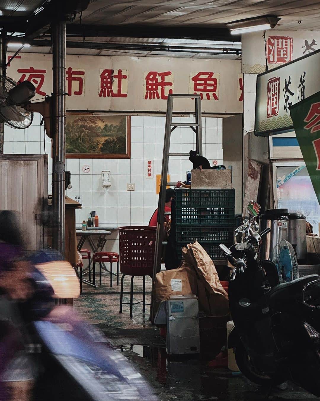 言身寸 in Tainan, Taiwanのインスタグラム：「小小黑 - 「#怎麼這樣拍人家啦」 - 2023.7.26 #taiwan #台灣 #台湾 #写真」