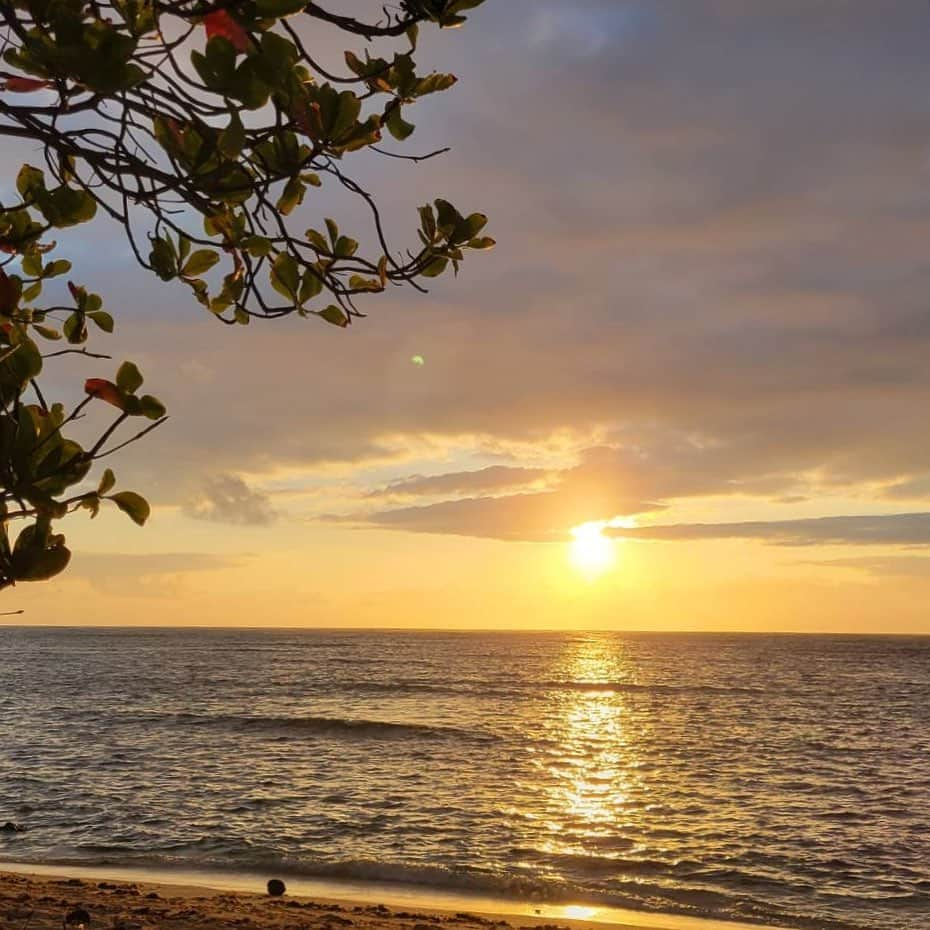 マキ・コニクソンさんのインスタグラム写真 - (マキ・コニクソンInstagram)「Good morning from  Kualoa Ranch!  車窓からみえた今日の朝日🌅 朝日のパワーってすごいね。 希望に満ち溢れてる！✨✨  クアロア牧場の前のビーチから カシャリンコ📸 早朝は気持ち良いよ！🚗💨 空気はフレッシュだし”気”がよいね！  モヤモヤやイライラ、 引っ掛かってる事など全て 忘れてフレッシュスタートしよー！  私の知り合いの会社の名前が “From Today”(今日から)って言うんだけど 私は今日からと言うより “From Now” (今から)がいいな！  今から人生って変われるからね！ 一緒に”from now”でいきましょう！💪🏼  もうすぐ北海道のイベント！ 北海道は私の憧れの地です！ だからワクワクする！🤗 詳細は @happyhawaii_jp  を見て下さいねー！ 札幌で会いましょう！  今日も思いやりを持って ハッピーな一日を過ごそうね。  #エアハワイ🌺  #ハワイのおすそ分け🤙🏼  #日の出パワー #過去は引きずらない  #今から」7月27日 2時18分 - makikonikson