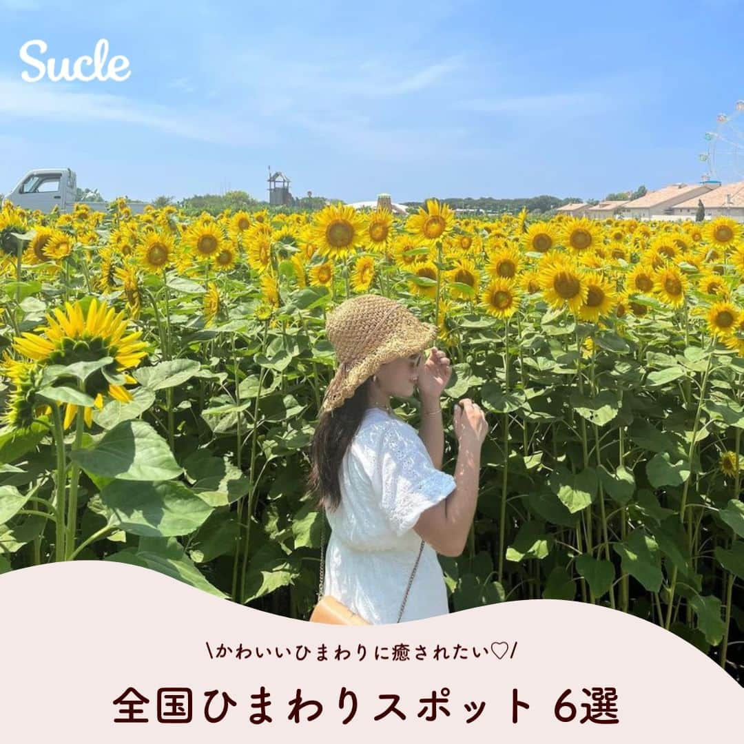 SUCLEのインスタグラム