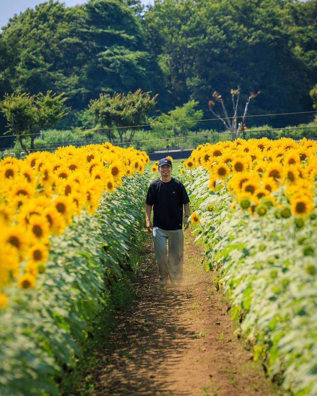 SHOCK EYEのインスタグラム：「レゲエ仲間と訪れた花の都公園。  気持ち良すぎて、 年を忘れて花畑ではしゃいでしまった^ ^  4人乗りの自転車に乗ったり、走ったり、終始笑顔の絶えない撮影でした。  鮮やかなひまわりが僕らをそうしせたのか、 夏がそうさせたのか、わからないけど、 ビタミンパワーを、元気を沢山受け取った日になったよ。  あいにく富士山は顔を隠していたけれど、全然気にせずに、楽しめた。 陽に向かって咲く向日葵たち🌻 そして、色鮮やかな百日草💐 ほんとうに可愛らしい🥰  花は綺麗だ、、こんな風に思える心を持てるようになったなんて、心が綺麗になった証拠かなw😆  てか、写真を始めたことによる恩恵だね、ありがたい🙏 そんな綺麗な景色を皆にもシェアするね^ ^  #花の都公園  #向日葵 #富士山 #sunflower」