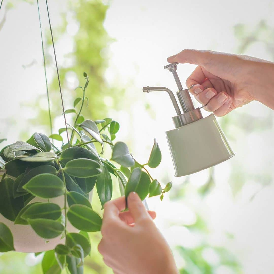 北欧、暮らしの道具店さんのインスタグラム写真 - (北欧、暮らしの道具店Instagram)「植物の水やり習慣を、もっと楽しく きゅんとするカラーの「ミニ霧吹き」 . - - - - - - - - - - - -  グリーンのある暮らしに憧れるけれど、 いざ育ててみるとお手入れを ちょっぴり億劫に感じてしまうことも。  そんな気持ちに寄り添う ちょこんと可愛い「小さな霧吹き」のご紹介です。  この霧吹きは園芸道具でありながら、 ころんと可愛いらしい見た目がその魅力のひとつ。  出しっぱなしにしていても 素敵なデザインだから、 お部屋の好きなところに置いておけますよ。  目が届くところにあれば 自然と手に取る機会も増え、 ついうっかり水やりを忘れてた！ なんてことも防げそうです。  この霧吹きは細かなミストが噴射できるので、 グリーンを元気に保つことができる 葉水（はみず）にぴったり。  植物のお手入れだけでなく、 アイロンがけのお供として、 衣類のシワ伸ばしにも活躍します。  カラーは目に入るたびにきゅんとする 「アイボリー」「イエロー」「グリーン」の全3色。  どのカラーも植物との相性ぴったり。 派手すぎず、程よくまろやかな色味なので、 インテリアにもちゃんと馴染みます。  お気に入りのアイテムを迎えることで、 植物と触れ合う癒しの時間をより軽やかに、 楽しんでいただけたら嬉しいです。 . ーーー 掲載のアイテムはこちら▼ ーーー . ☑️ amabro / LITTLE SPRAYER / 霧吹き - - - - - - - - - - - - - - - - - -   ▶︎ お買いものはプロフィールのリンクから ご覧くださいね。→@hokuoh_kurashi . #interior#interiors#livingroom#homedecor#instahome#homewares #インテリア#北欧インテリア #amabro#霧吹き#グリーンのある暮らし#植物のある暮らし #リビング#賃貸#賃貸インテリア #マイホーム#インテリア雑貨#シンプル#シンプルライフ #シンプルデザイン#暮らしを楽しむ#日々の暮らし #北欧#暮らし#北欧暮らしの道具店」7月27日 12時27分 - hokuoh_kurashi