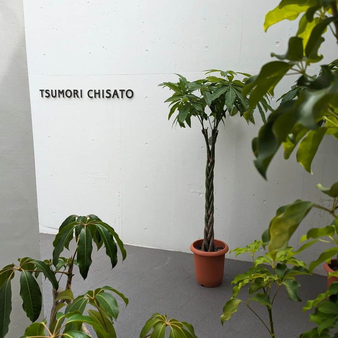 TSUMORI CHISATO Officialのインスタグラム：「【8月オープンサロンのお知らせ】  みなさん、こんにちは! とっても、とっても暑い日が続いていますが、いかがお過ごしでしょうか⁇  ツモリチサトでは2024S/Sコレクションの発表に向けて準備を進めています。 その為、8月のオープンサロンはお休みとさせていただきます。  ご不便をおかけしますが、次回のコレクションも皆様に楽しんでいだけるよう準備を進めたいと思います!  オンラインショップでは8月中旬に2023-2024A/Wコレクションの販売をスタート予定です。 こちらもぜひ楽しみにお待ちください!  暑い日が続きますので、みなさんお身体に気をつけてお過ごしください。  #tsumorichisato #ツモリチサト #tchouse」