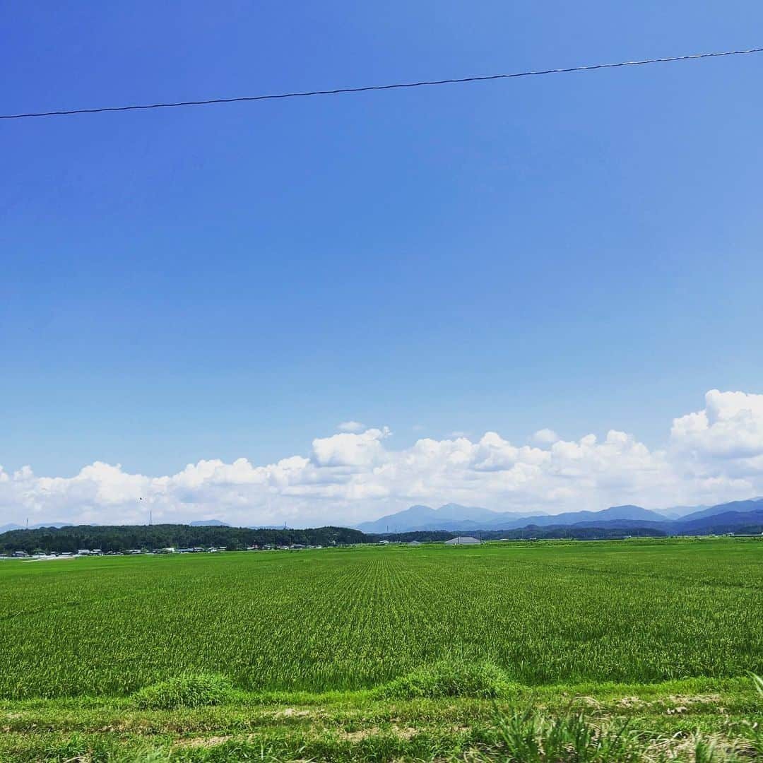 上杉洋史さんのインスタグラム写真 - (上杉洋史Instagram)「Basking in the vibrant sea of green: the lush rice fields of Murakami City, Niigata Prefecture. #niigata #ricefields」7月27日 12時42分 - uesugihiroshi