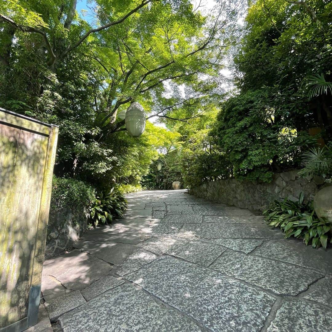 THE SODOH OFFICIALさんのインスタグラム写真 - (THE SODOH OFFICIALInstagram)「※ 夏の東山は緑生える清涼感あふれる美しい季節 木と火と水を感じられる庭園 京都のシンボルである八坂の塔のふもとに位置し、 清水寺や八坂神社へは歩いて行けるロケーションに “ザ ソウドウ 東山 京都 @kyoto_thesodoh “ はございます。  建物は日本画の巨匠、竹内栖鳳が構えた約90年前の邸宅をリノベーションしております。 是非お越しいただいた時にご覧いただきたいのが 入口からレストランへ続く一本道。  あえて門からは建物が見えない作りとなっています。 これは竹内栖鳳が、お越しいただいた方が 四季によって移り変わるさまざまな景色を お楽しみいただけるように、🌿 またどんな邸宅がこの先にあるのか想像し、楽しめるようにということで門から邸宅まで"くの字"の道にしたと言われております☺️  館内には沢山の調度品、竹内栖鳳の作品もございます。 レストランの料理はもちろん、景観、作品含めお楽しみください。  @sodoh_wedding 結婚式場としても多くのお客様をお迎えしております。  ———  ご予約は、TOPページURL 又はお電話にてお問い合わせください。  ———  https://www.thesodoh.com/restaurant/  #thesodohhigashiyamakyoto #thesodoh #sodoh #sodoh東山 #kyoto #kyotolunch #kyotodinner #kyotojapan #kyototrip #kyotofood #kyototravel #kyotorestaurant#夏#夏京都#summer#japan #ザソウドウ東山京都 #京都 #京都グルメ #京都ランチ #京都ディナー #京都観光 #京都旅行 #竹内栖鳳 #京都グルメ #イタリアン#清水寺 #そうだ京都行こう #京都名所 #京都散策」7月27日 13時12分 - kyoto_thesodoh