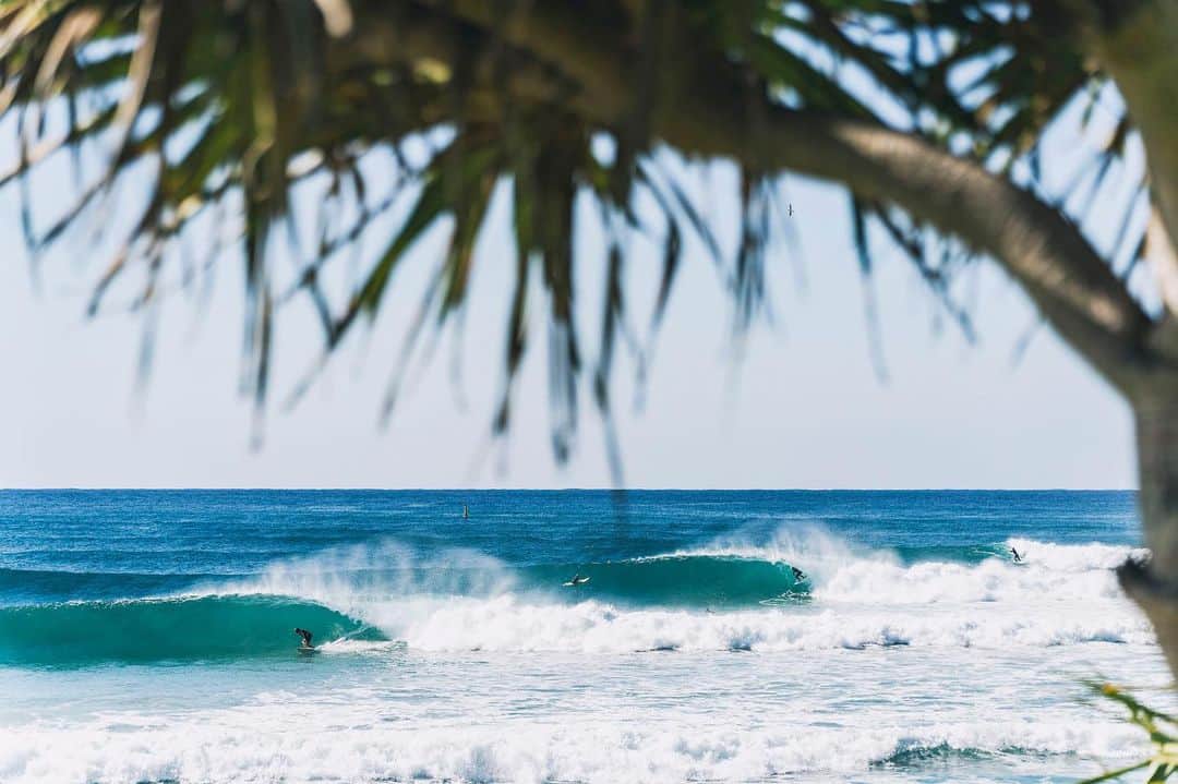 surflineさんのインスタグラム写真 - (surflineInstagram)「Question; if the waves were good every single day, would surfing be as fun? Or does it take the flat spells to really appreciate good surf? New South Wales just experienced five days of happiness after the longest flat spell in four years! You can imagine the froth these surfers felt. Check out our latest #swellstory now playing at the link in bio.  📸 @ianbirdphoto, @billmorris, @ramboestrada , @chroniclesofchristie」7月27日 4時31分 - surfline