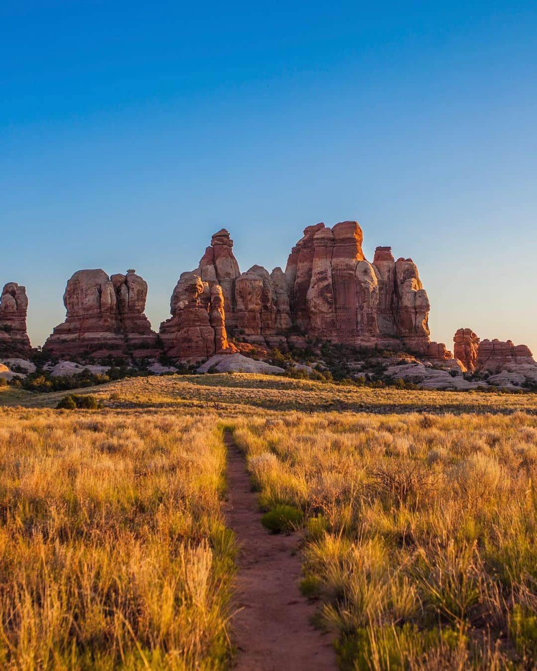 アメリカ内務省さんのインスタグラム写真 - (アメリカ内務省Instagram)「Canyonlands National Park in Utah invites you to explore a wilderness of countless canyons and fantastically formed buttes carved by the Colorado River and its tributaries.    Hiking trails offer many opportunities for long-day hikes and overnight trips, while foot trails and four-wheel-drive roads lead to features such as Tower Ruin, Confluence Overlook, Elephant Hill, the Joint Trail and Chesler Park (pictured here). Bring plenty of water and remember to Leave No Trace while you’re out in these pristine areas.    Photo by Emily Ogden / @canyonlandsnps canyonlandsnps    #RecreateResponsibly #LeaveNoTrace #PublicLands #Utah   Alt Text: A trail through native yellow grasses leading to sandstone spires.」7月27日 6時19分 - usinterior