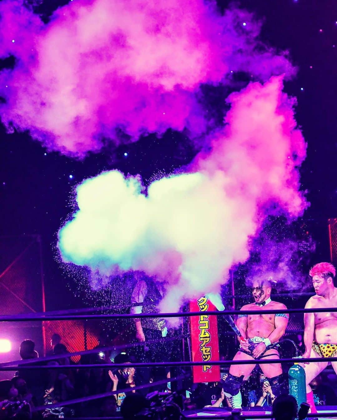のインスタグラム：「#フェロモンズ #ddtpro」