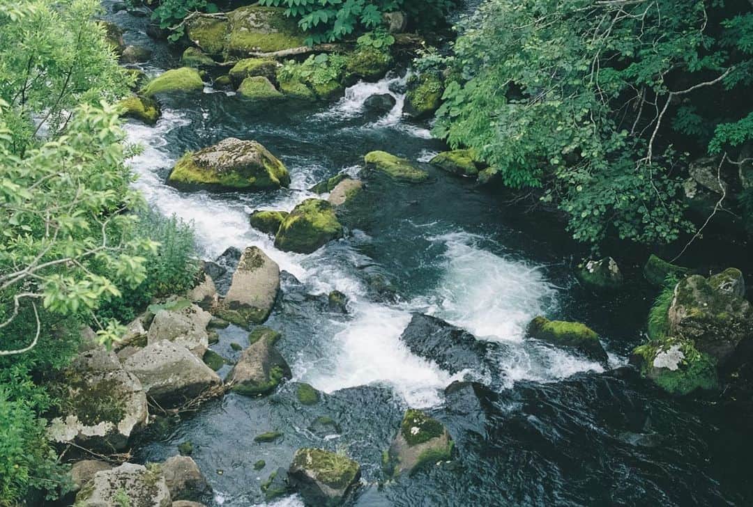小川紗良さんのインスタグラム写真 - (小川紗良Instagram)「#film #filmphotography #river #nature #北海道 #知床 #羅臼 #羅臼川 #自然」7月27日 8時04分 - iam_ogawasara