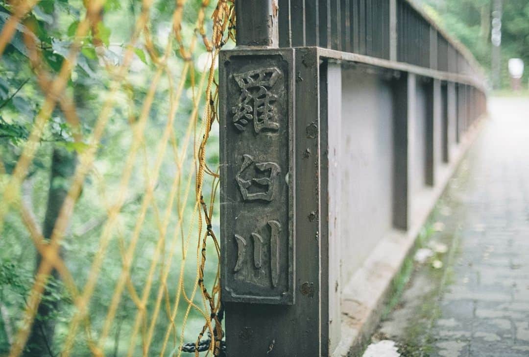 のインスタグラム：「#film #filmphotography #river #nature #北海道 #知床 #羅臼 #羅臼川 #自然」