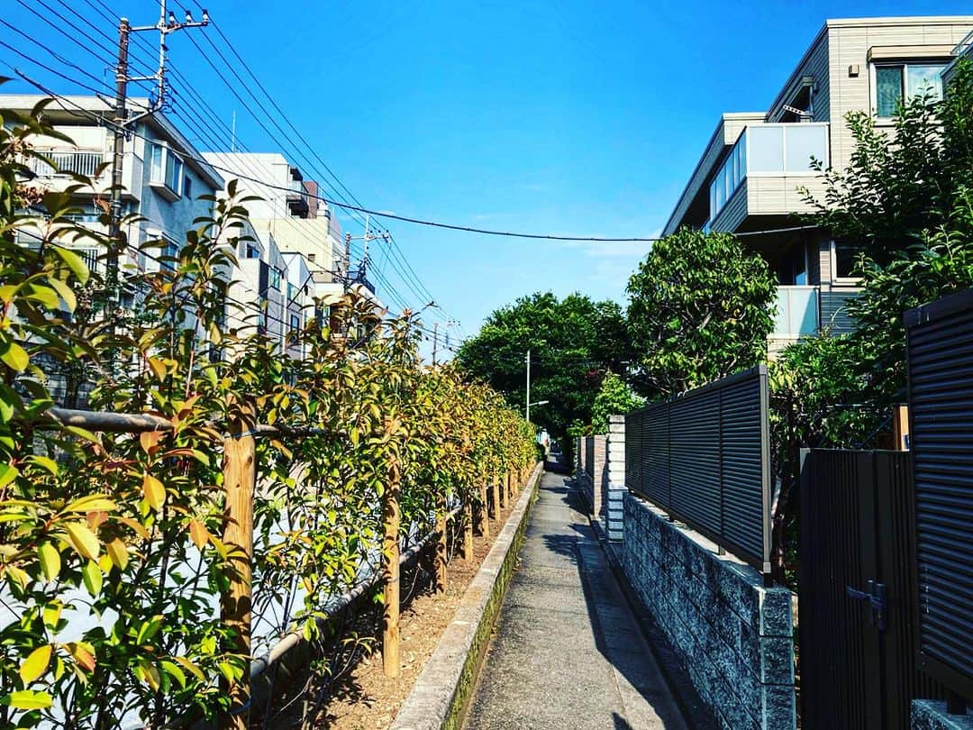 宇田川大輔のインスタグラム：「本日の朝ラン #朝ラン #running #城南エリア」