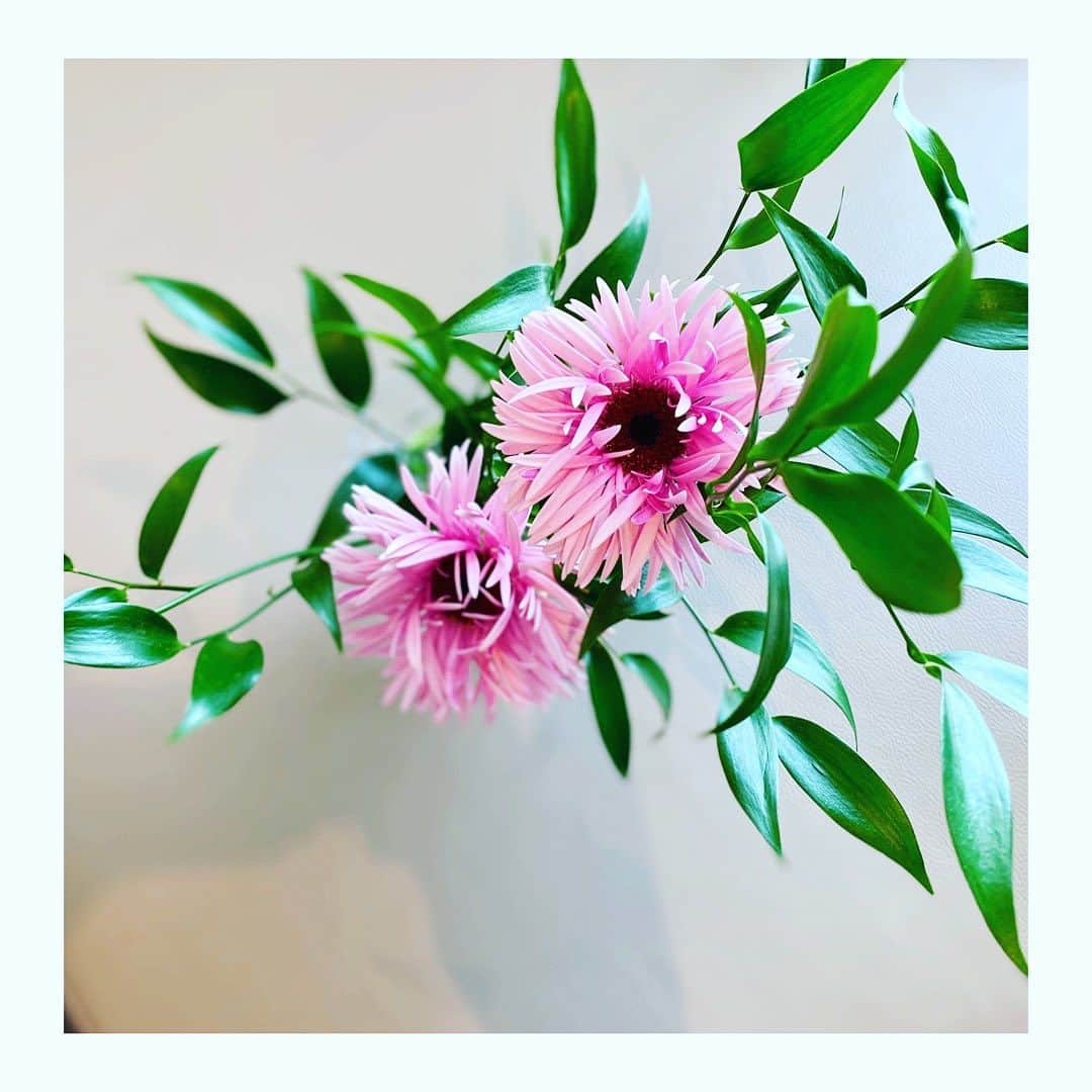 勝恵子のインスタグラム：「和のお稽古のお花は、 持ち帰ると投げ入れに。 イタリアンルスカスとガーベラ。  シンプルに涼やかに。  #お花 #flowers #投げ入れ #livingflowers」