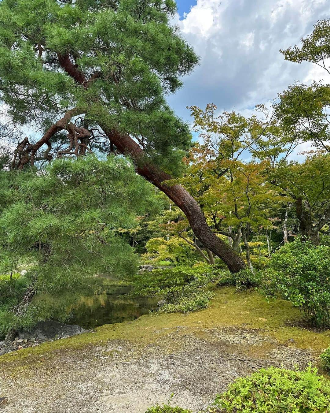 大塚良子さんのインスタグラム写真 - (大塚良子Instagram)「. 南禅寺周辺の別荘の中で唯一通年公開されている、 明治、大正の政治家　山縣有朋の無鄰菴へ  庭園には琵琶湖から引かれた水で、 まるで自然のように演出された川と東山を望む築山。 高低差を活かした奥行きあるスペースには 洋館も備わっていて、2階には伊藤博文と日露外交について話し合ったといわれる会議室も。  こうした文化財の活用が京都は本当に素晴らしい。 何とも贅沢なひととき、ありがとうございました。  Tops.. @blamink.official  Pants.. @therow Bag.. @chanelofficial」7月27日 8時52分 - ryokokonami