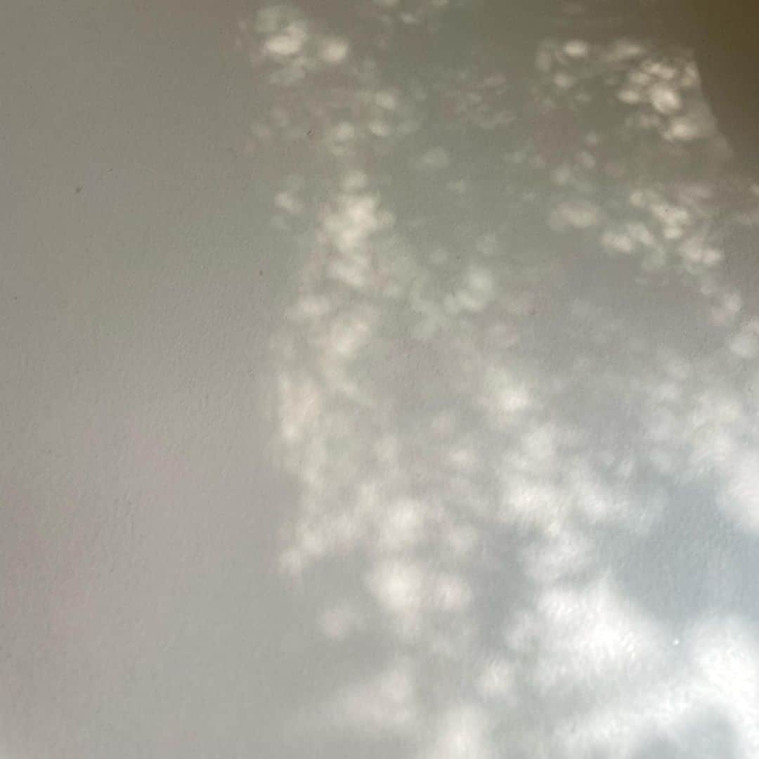플로리스트 김애진(케이라플레르)さんのインスタグラム写真 - (플로리스트 김애진(케이라플레르)Instagram)7月27日 10時36分 - keirafleur