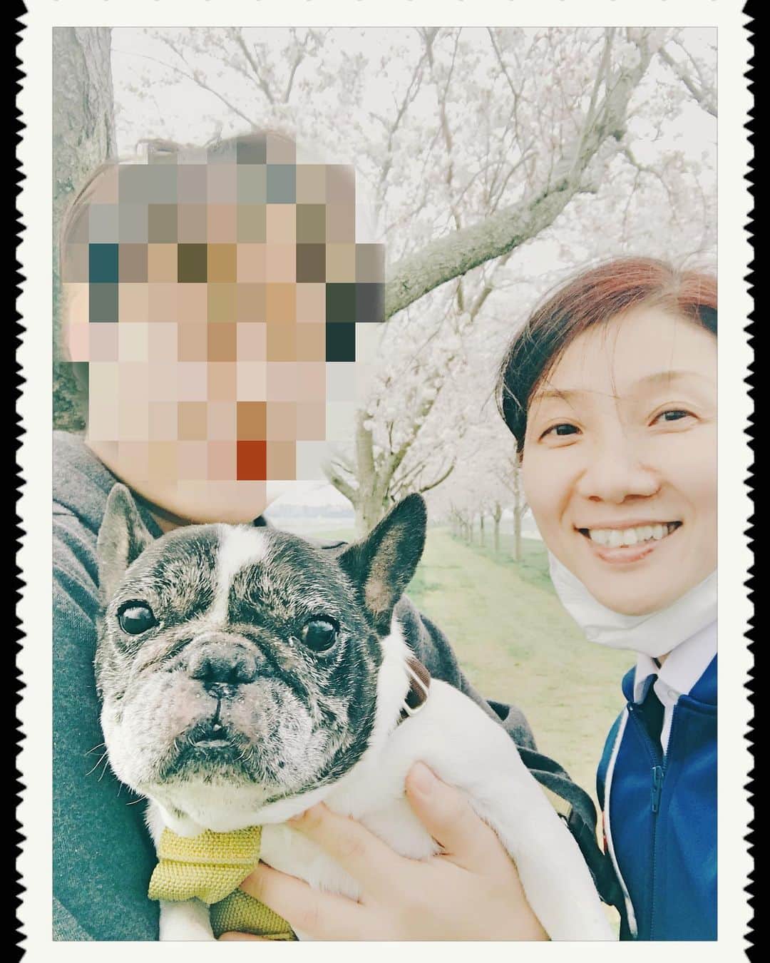 松居直美さんのインスタグラム写真 - (松居直美Instagram)「今日は豆の4回目の命日でした。」7月27日 22時33分 - naomimatsui.official