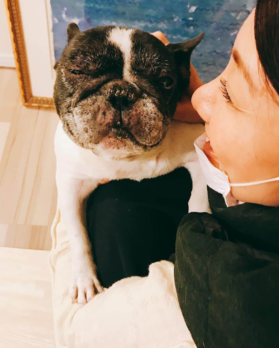 松居直美さんのインスタグラム写真 - (松居直美Instagram)「今日は豆の4回目の命日でした。」7月27日 22時33分 - naomimatsui.official