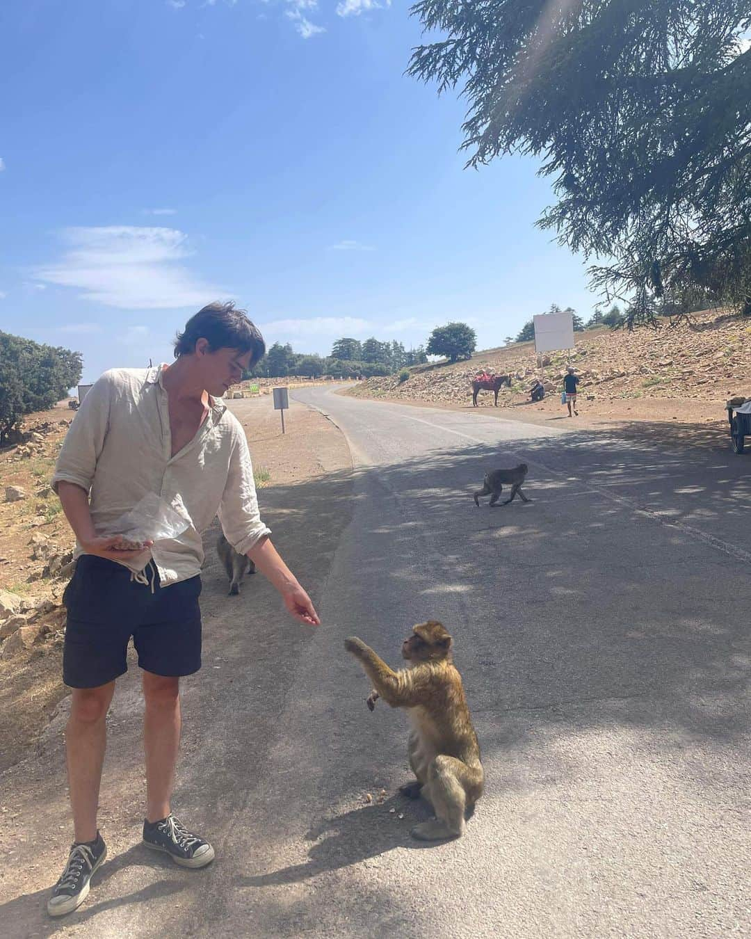 ミッチェル・ホープさんのインスタグラム写真 - (ミッチェル・ホープInstagram)「has anybody found my hat yet」7月27日 21時10分 - mitchellhope