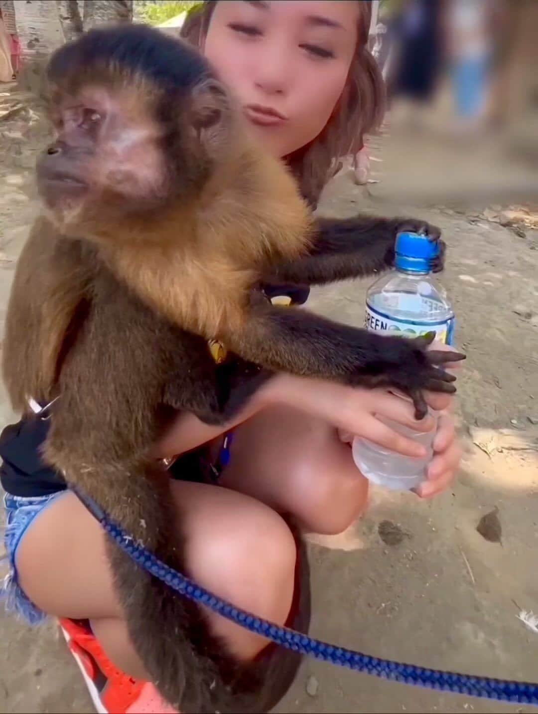 渡邊水希のインスタグラム：「🐒さんも熱中症対策🫠☀️ 私のダカラをしっかり確保🐒🥤♡ 飲み方🦵が可愛い😍 #ペットボトル開け #プロ #皆驚き  #cmでれそう #カラダバランス飲料 #だから #アニマルグランピング #🐒 #🍹 #フサオマキザル  #ふさおまきざる  #ルパン #熱中症対策アドバイザー  #美味しすぎて飲み過ぎ注意  #気の済むまでどうぞ  #specialthx #ふれあい動物園  #野生動物世界  @northsafarisapporo」