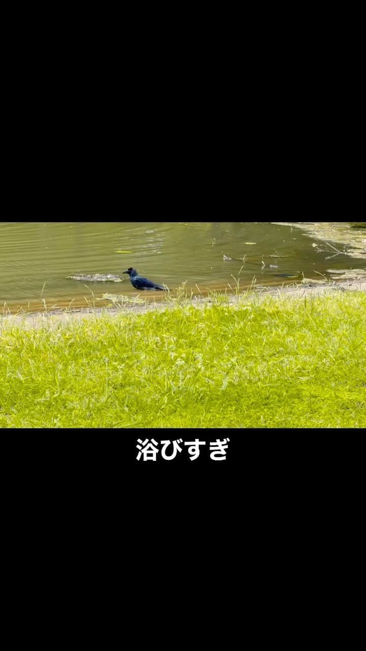 有吉弘行のインスタグラム