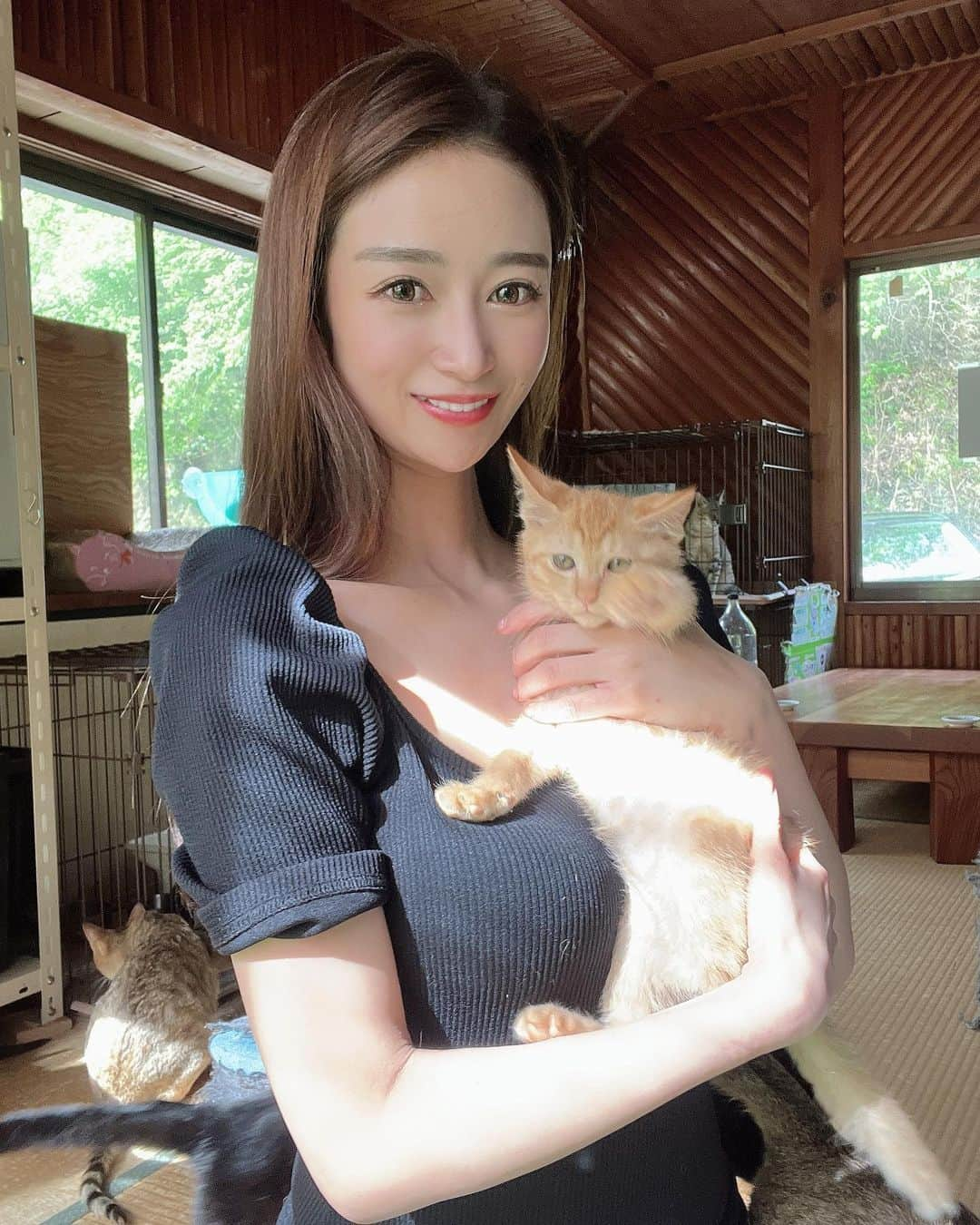 児玉菜々子さんのインスタグラム写真 - (児玉菜々子Instagram)「猫の日🐈🐈🐈🐈🐈🐈🐈🐈🐈🐈🐈🐈🐈🐈🐈🐈❤️ ✨  猫ちゃんに囲まれて顔デレッデレ🤪💕  お豆腐屋さんと保護猫舎が合体しています🐈  皆さん、遊びに行った際は ちゅーる&猫ちゃん募金するのも 素敵な思い出になるかも🥰❤️  私も微力ながらさせていただきました✌️  #猫 #ねこ  #cat  #catstagram  #夏休み #夏 #旅行 #奈良 #trip  #insta  #instagram  #instadaily  #instalike  #followme」7月27日 21時59分 - nanaco.conana