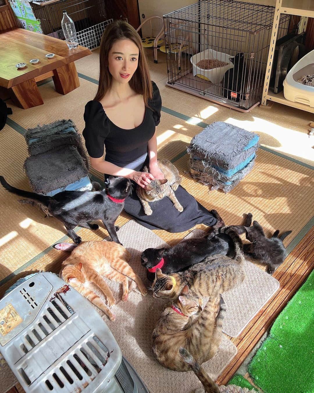 児玉菜々子さんのインスタグラム写真 - (児玉菜々子Instagram)「猫の日🐈🐈🐈🐈🐈🐈🐈🐈🐈🐈🐈🐈🐈🐈🐈🐈❤️ ✨  猫ちゃんに囲まれて顔デレッデレ🤪💕  お豆腐屋さんと保護猫舎が合体しています🐈  皆さん、遊びに行った際は ちゅーる&猫ちゃん募金するのも 素敵な思い出になるかも🥰❤️  私も微力ながらさせていただきました✌️  #猫 #ねこ  #cat  #catstagram  #夏休み #夏 #旅行 #奈良 #trip  #insta  #instagram  #instadaily  #instalike  #followme」7月27日 21時59分 - nanaco.conana