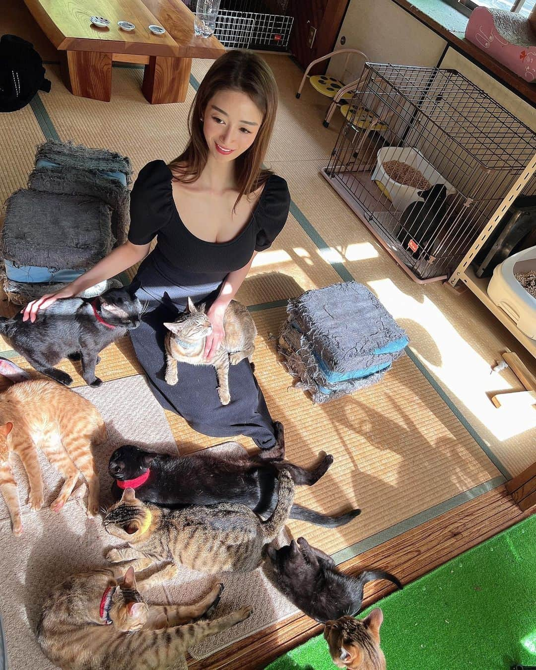 児玉菜々子さんのインスタグラム写真 - (児玉菜々子Instagram)「猫の日🐈🐈🐈🐈🐈🐈🐈🐈🐈🐈🐈🐈🐈🐈🐈🐈❤️ ✨  猫ちゃんに囲まれて顔デレッデレ🤪💕  お豆腐屋さんと保護猫舎が合体しています🐈  皆さん、遊びに行った際は ちゅーる&猫ちゃん募金するのも 素敵な思い出になるかも🥰❤️  私も微力ながらさせていただきました✌️  #猫 #ねこ  #cat  #catstagram  #夏休み #夏 #旅行 #奈良 #trip  #insta  #instagram  #instadaily  #instalike  #followme」7月27日 21時59分 - nanaco.conana