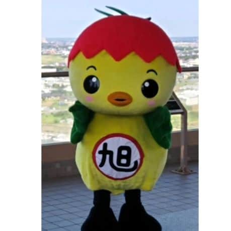 さとう珠緒さんのインスタグラム写真 - (さとう珠緒Instagram)「海〜  地平線〜  夏〜  #あさピー」7月27日 22時03分 - tamao_satoh