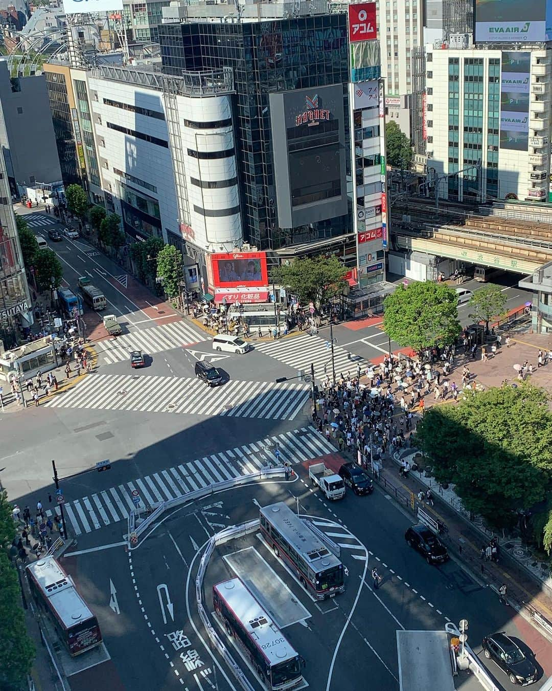 大平まさひこのインスタグラム：「仕事の打ち合わせのため、嫁さんと一緒に東京へ！(嫁さんは旅行気分満載) とにかく暑い😵💦 37℃って体温より暑いやん🥵 とりあえず到着後日本一の街を見下ろしに❗️そしてびっくりタクシー初乗り¥500‼️安っ！ 絶対行きたかった、TOWER RECORDS！ 嫁は一心不乱に推し活❗️😅 智久もやけど、山下といえばやっぱ達郎だよね〜❣️ 本番は9月です👍 #東京#大好き#渋谷#買い物#楽しい#キンプリ」