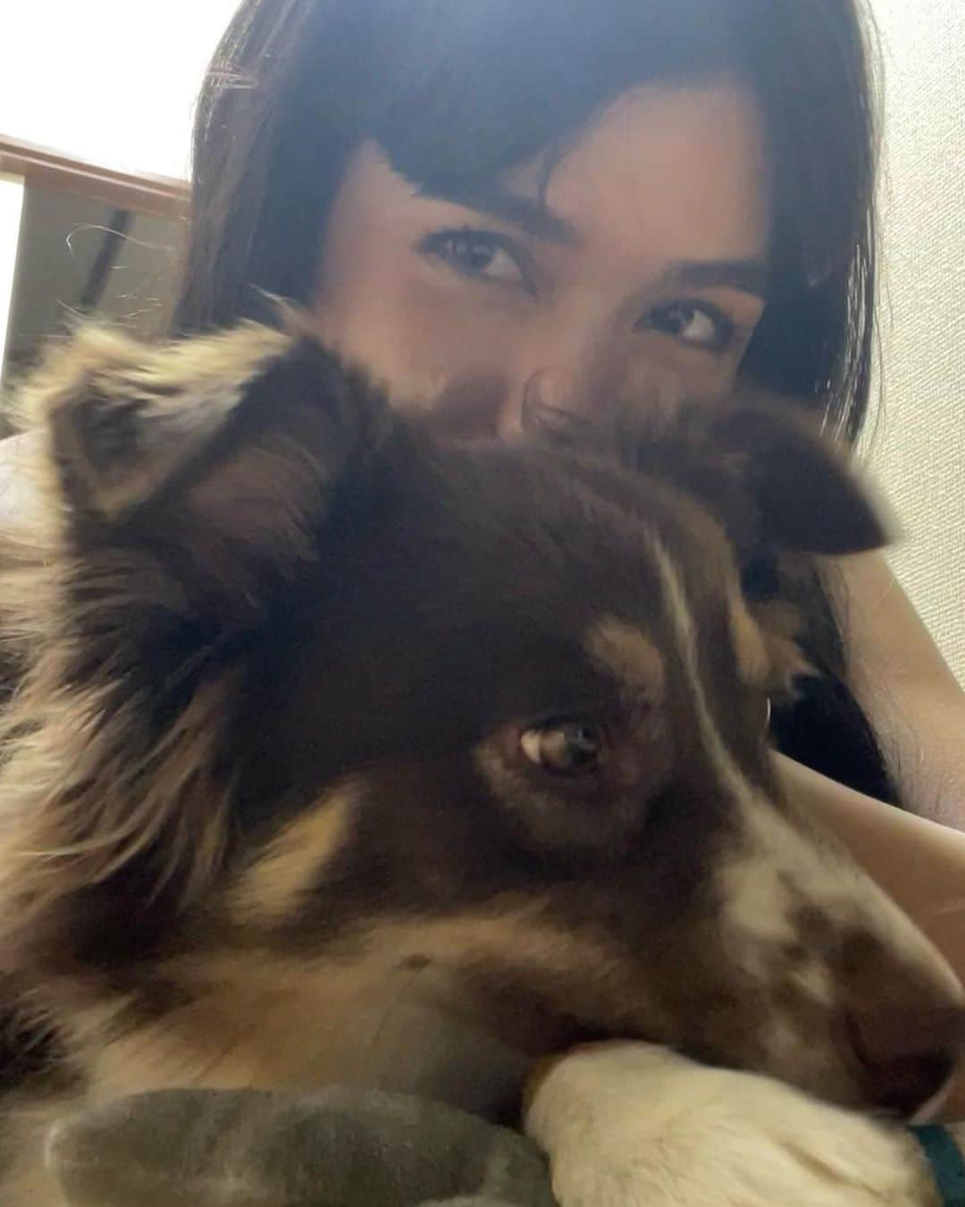 橘モニカさんのインスタグラム写真 - (橘モニカInstagram)「First time pictures of me and Sana 🥰 サナちゃんと初ツーショット！ . . . . . #cute#dog#sana#style#fashion#model#makeup#可愛い#犬#サナ#スタイル#ファッション#モデル#メイク#귀여워#개#사나#스타일#패션#모델#일상」7月27日 22時23分 - monikatachibana