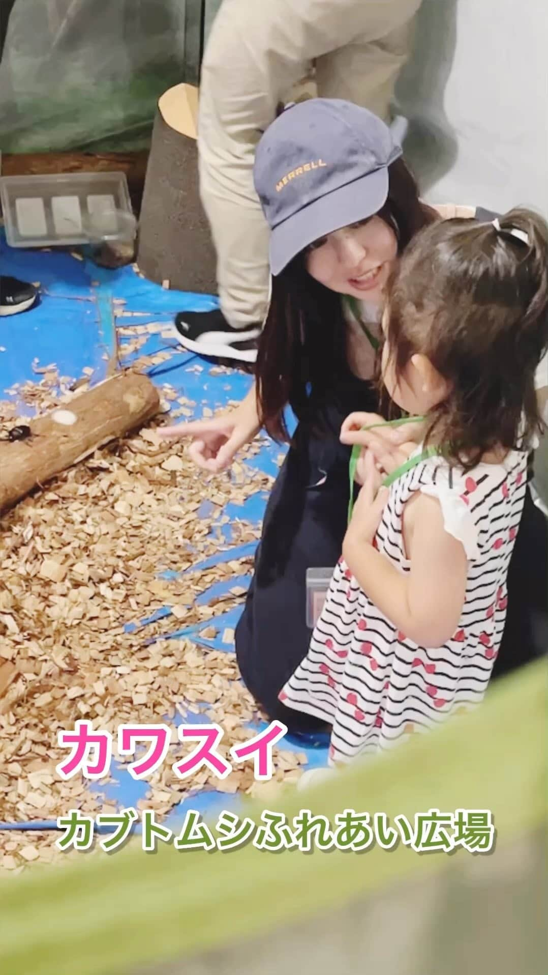 正田美里（みさみさ）のインスタグラム：「カワスイ行ってきました。年パスめっちゃ使ってる!! 土日とか夏休みも使えるの嬉しい❤️ 夏休み期間は、水族館の中にカブトムシ広場が出来ていて、カブトムシを触れたり観察出来たりします。  カブトムシの幼虫のときから展示してあったので、成長がみれてなんだか嬉しい😊  娘は入りたいといったわりには怖がってなかなかカブトムシを触れず、、、スタッフのお兄さんが怖くないよ〜って言ってくれてから少しだけ触ることが出来ました!!  凄い楽しかったみたいで、また行きたーい！と言っていたので、この夏休みは沢山行くと思う（笑）😆  #カワスイ #カブトムシ #カブトムシふれあい広場 #3歳児 #３歳児ママ #神奈川 #川崎 #kawasaki  #年パス #水族館 #夏休み #夏休みの過ごし方 #幼稚園 #年年少」