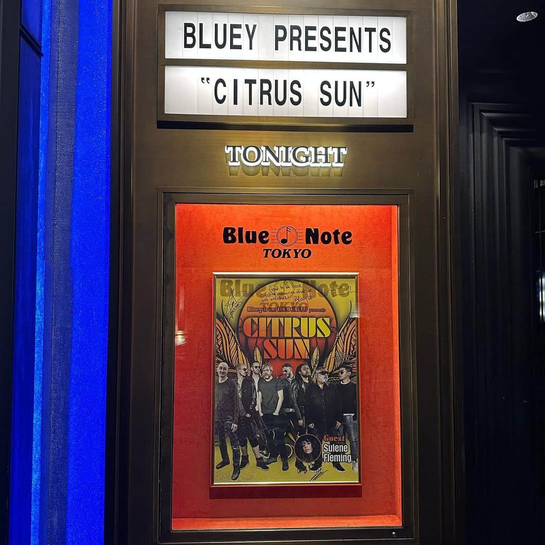 SHUHEI.Kのインスタグラム：「Bluey from INCOGNITO presents "CITRUS SUN"」