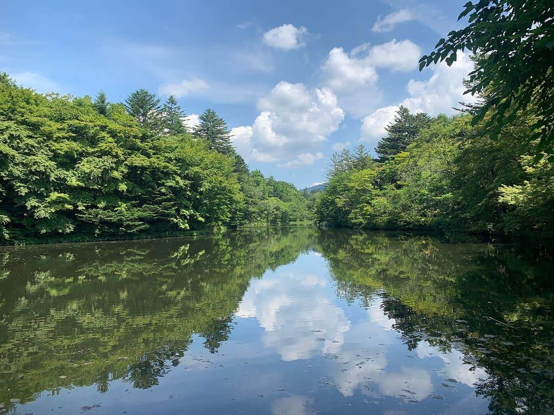 櫻井トオルさんのインスタグラム写真 - (櫻井トオルInstagram)「ワンコと涼みに😃」7月27日 14時26分 - sakusaku0814