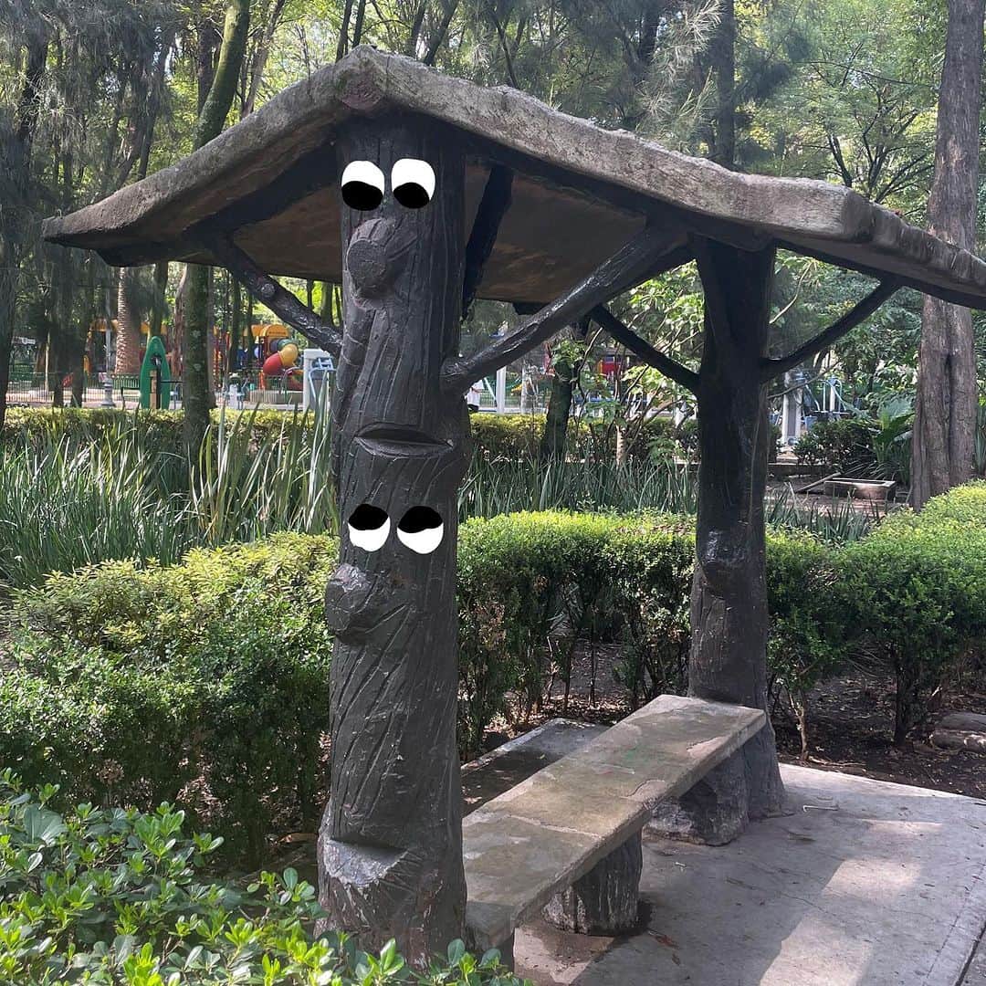 Jason G. Sturgillのインスタグラム：「I’m too exhausted to try and curate a new photo dump for y’all and I’m not sure I got many good shots that really captured all that’s been happening but here’s a bench from the park by our place that was yelling at me to give them some eyes to see.」