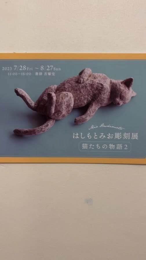 はしもとみおのインスタグラム：「福岡県 吾輩堂さんより中継しました」