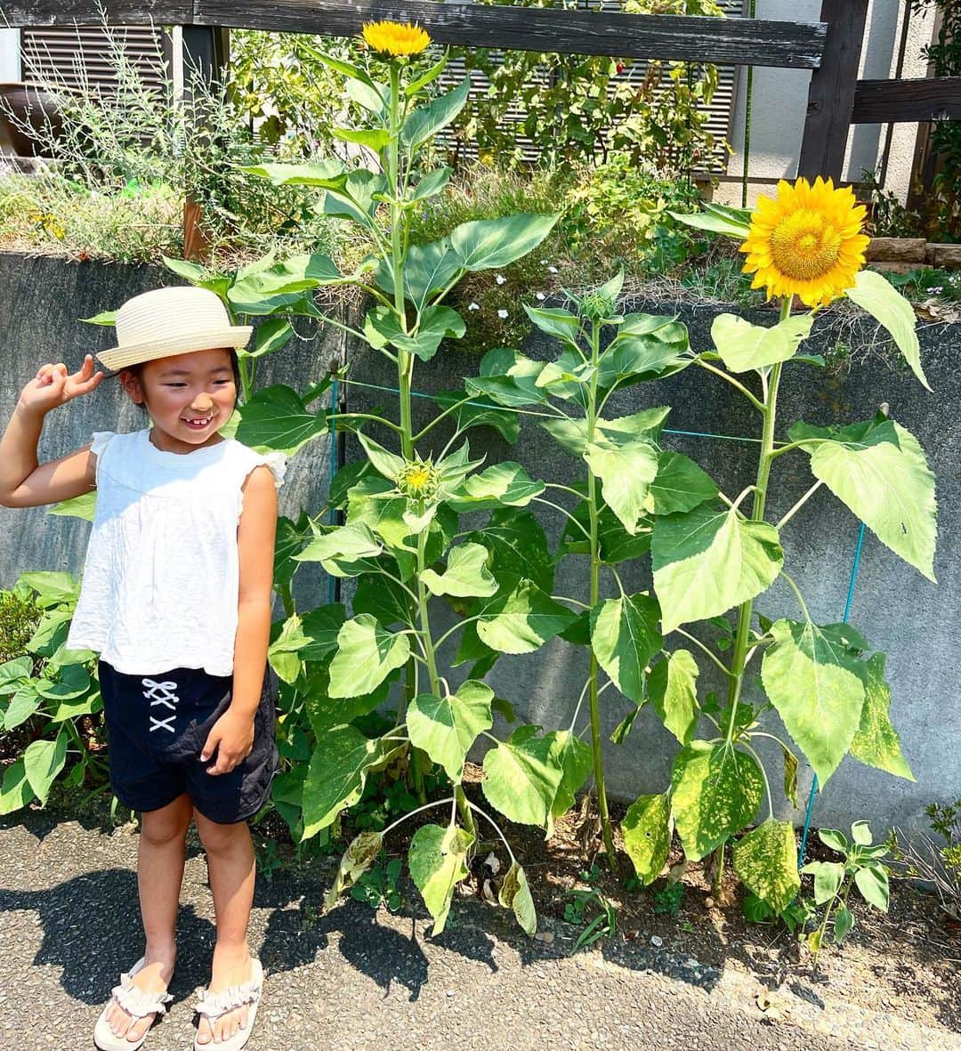 新井美穂のインスタグラム：「娘が川遊びしたいと言うので 近所の野川へ。  2023年夏、ほんまに暑すぎる〜🥵  毎年野川には子供たちいっぱいいるのに、 今日は誰もいなくて 私、この炎天下の下、非常識な事してるんじゃないかと思って（笑） 娘にはブイブイ言われて 「今日は全然楽しくなかった！」とまで言われて 腹立って娘と喧嘩しちゃったけど（笑）  ほんと熱中症なったら大変なので 強行めっちゃ早めの退散〜  やっぱり家は涼しい〜😄  #娘7歳1ヶ月」