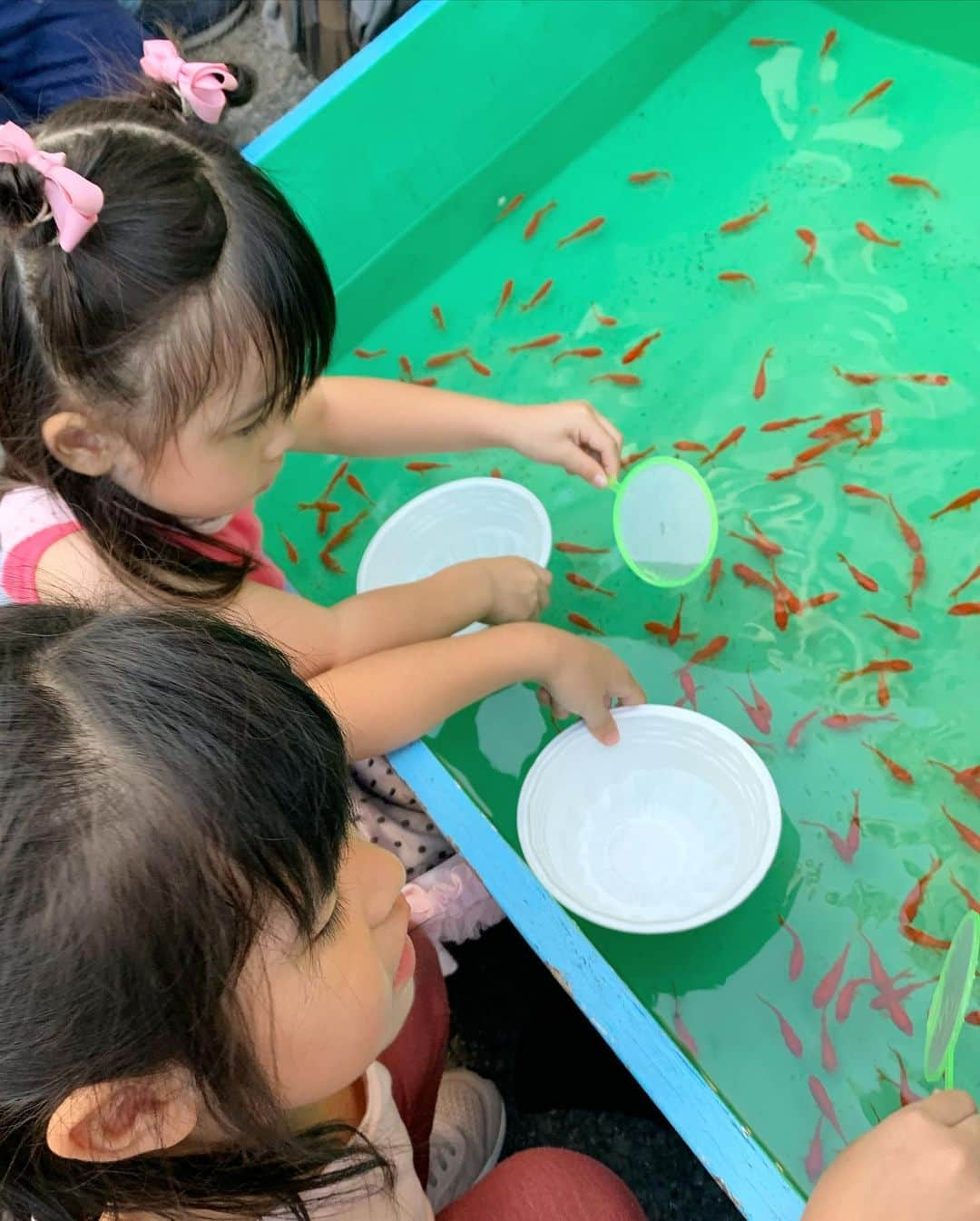 森崎友紀のインスタグラム：「先日、近所の夏祭りで初の金魚すくいを体験した子供達。夢中で頑張っていました。 結果、1匹ずつ持ち帰り育てることにしました(^^) 毎日みんなで餌やりしています♪ LEDの7色の光が出て、金魚が綺麗に見えます。  #森崎友紀#金魚すくい#LED水槽#夏祭り」