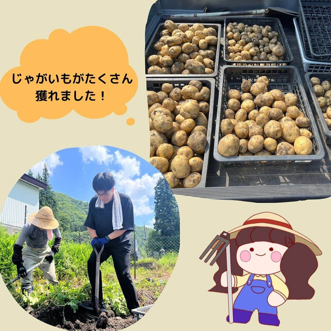 共愛COCOさんのインスタグラム写真 - (共愛COCOInstagram)「今回のみまもり隊では、じゃがいも掘りと除草剤まき、側溝の掃除、明男さんの家の2階掃除をしました。暑い中の作業で大変でしたが、その中で水が綺麗なことや虫がたくさんいたりと自然に触れることができ、住民の方に昔の平出について教えて頂いたりと、とても学びの多い1日でした。作業が終わった後、明男さんに｢1人だと大変だから手伝ってもらえて良かった｣と言って貰えてとても嬉しく、やりがいを感じました。次回のみまもり隊も住民の方々のお役に立てるよう頑張りたいです！💪🏻  心理・人間文化コース1年  上原 ゆい  #共愛学園前橋国際大学 #共愛COCO#kyoai #みなかみ #水上 #minakami #群馬県 #群馬 #gunma #みまもり隊 #平出 #平出集落」7月27日 16時14分 - kyoaicoco