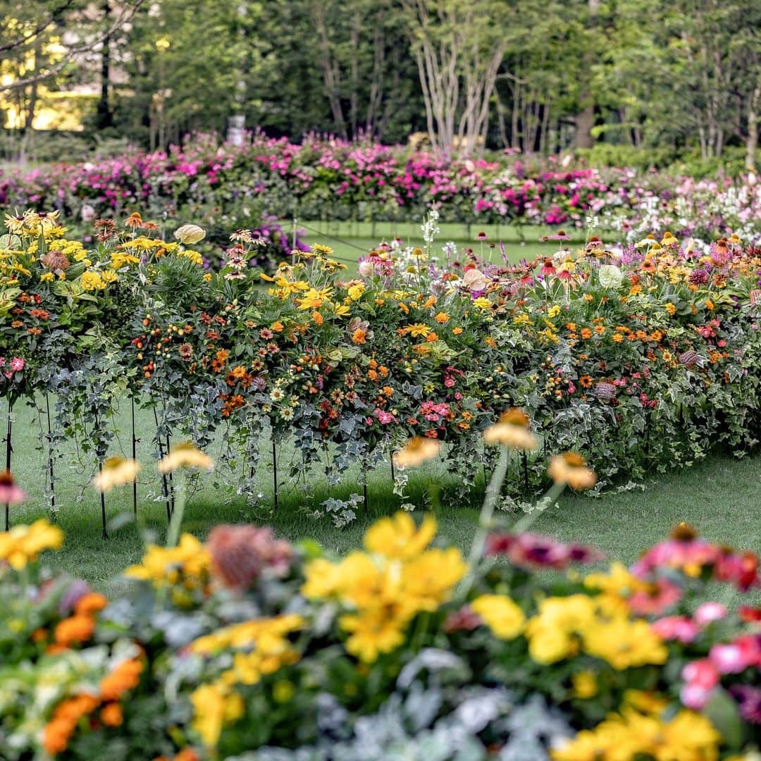 ニコライ・バーグマン・フラワーズ＆デザインのインスタグラム：「Only until this Sunday! (〜7/30) Don't miss the botanic installation my team and I created at Otemachi One Garden! ⁠ ⁠ Swipe to see some details and different perspectives. Especially the top view shows the beautiful gradation from pink to white. ⁠ ⁠ The whole installation is more than 80m long, so in case you have the chance to go, you can walk along it and really see the various floral gradations up close! ⁠ .⁠ .⁠ .⁠ .⁠ .⁠ #nicolaibergmann #flowerdesign #floralart #ニコライバーグマン #フラワーデザイン #니콜라이버그만 #꽃다발 #цветочноеоформление #blumenkunst #artefloral」