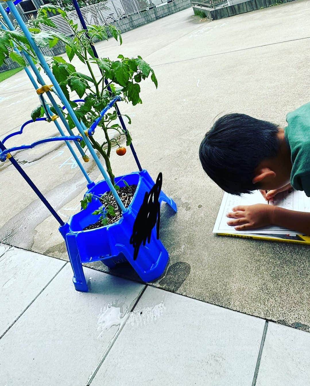 長澤奈央さんのインスタグラム写真 - (長澤奈央Instagram)「子供達の夏休みが始まって1週間 え？まだ1週間？？？🙄 毎日子供達と全力で遊んでます！！  #夏休み #トマトの観察 #秘密基地作り #スノードーム作り #緑のコキア #早寝早起き」7月27日 16時59分 - nagasawana_official